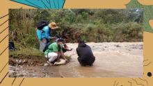 Four people kneel by a muddy river, developing water tests. They are surrounded by greenery, conveying a sense of environmental study.