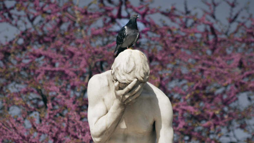 Photo: Alejandro Morelos on Unsplash (https://unsplash.com/photos/facepalm-statue-0ajhOn3ed24)