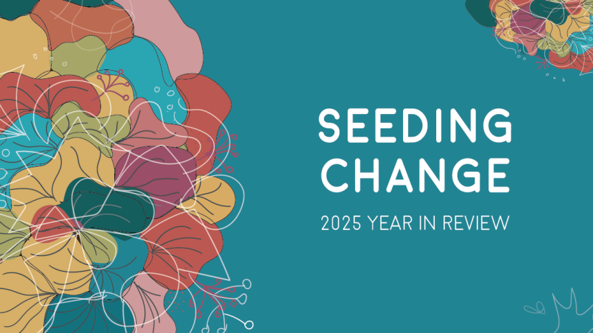 Colourful banner highlighting the 2025 recap of the Seeding Change column