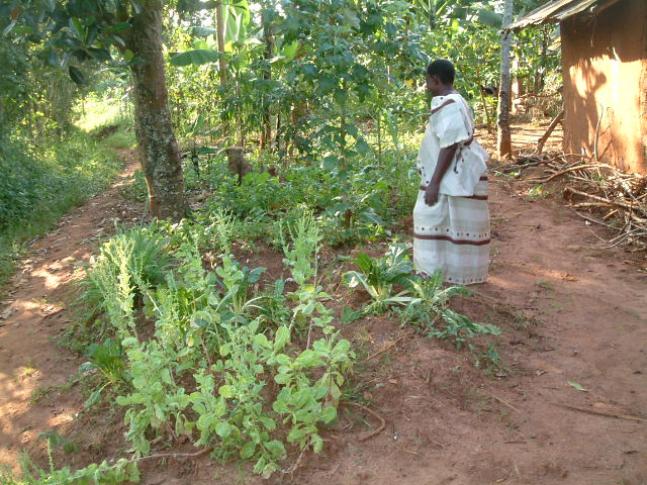 Photo: Female telecentre user from rural Uganda.