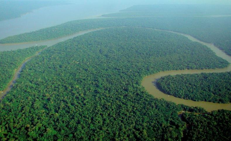 Imagen: Vista aérea de la selva amazónica, por lubasi a través de Wikimedia Commons.