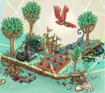  image linking to Discovering community through environmental justice and digital autonomy: New report on sustainable digital infrastructure 