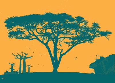 Ilustration of an acacia tree in an orange background
