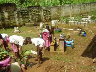  image linking to Un programme d'agriculture urbaine au Cameroun